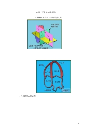 心脏(正常解剖模式图及超声声像图)