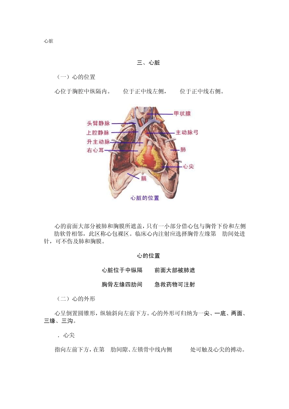 心脏听诊图解_第1页