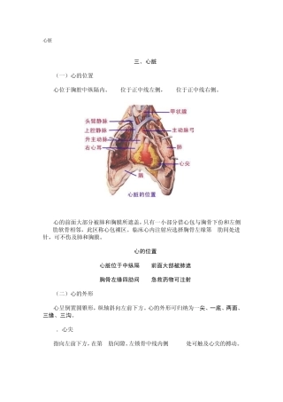 心脏听诊图解