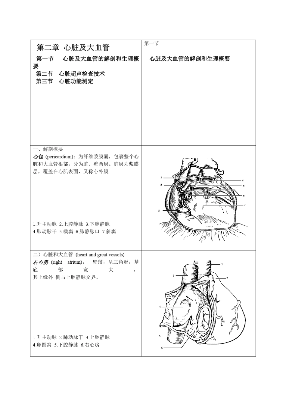 心脏彩超基础_第1页
