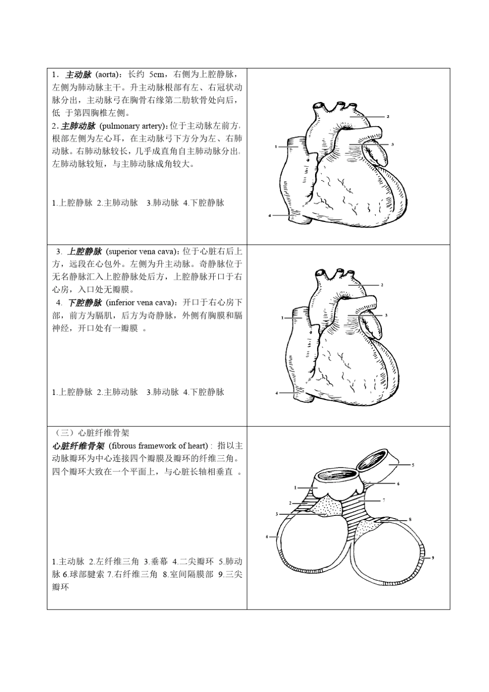 心脏彩超基础_第3页