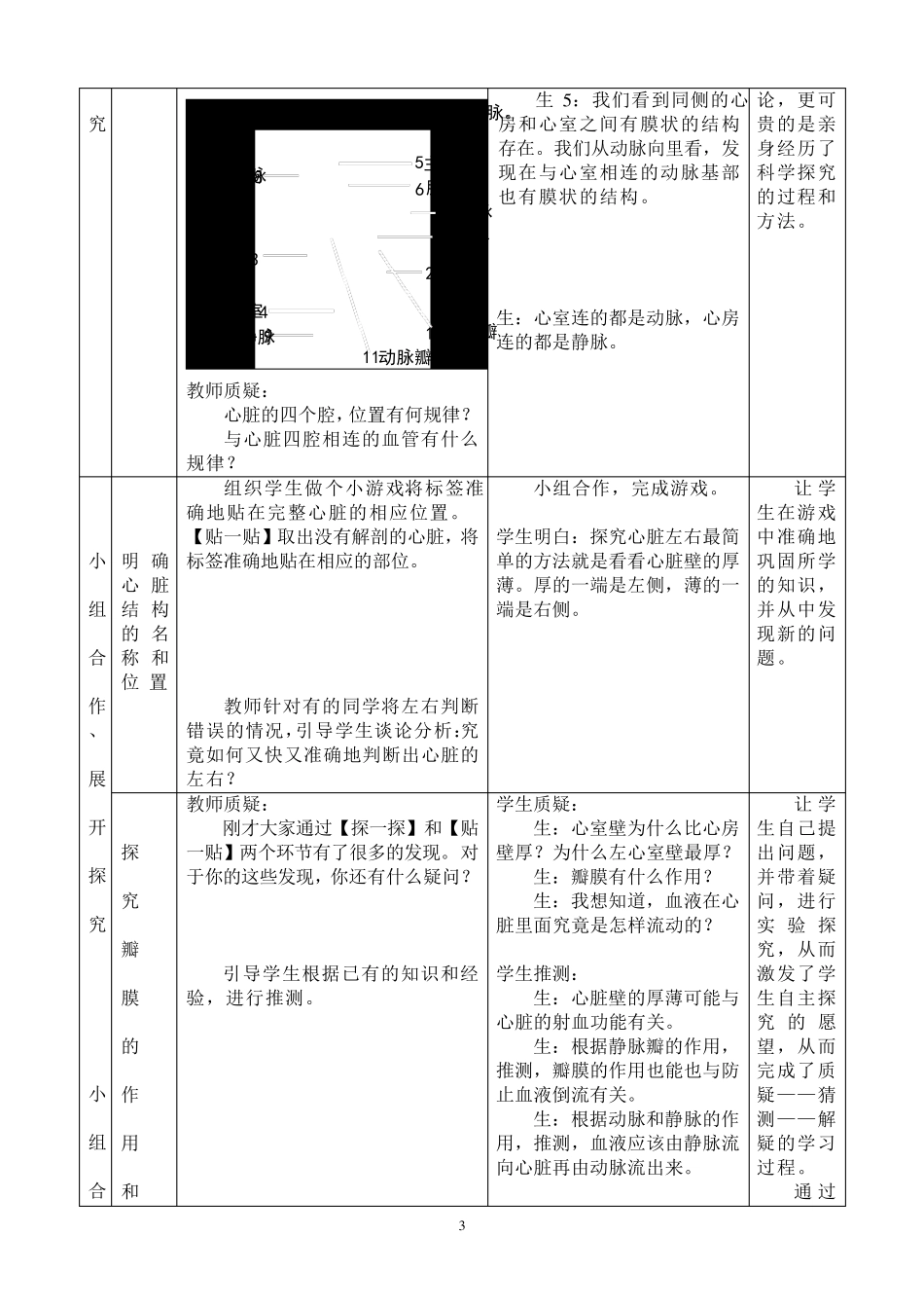 心脏教学设计_第3页