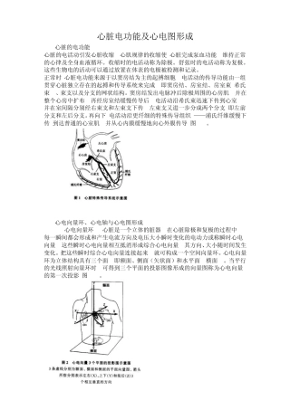 心脏电功能及心电图形成