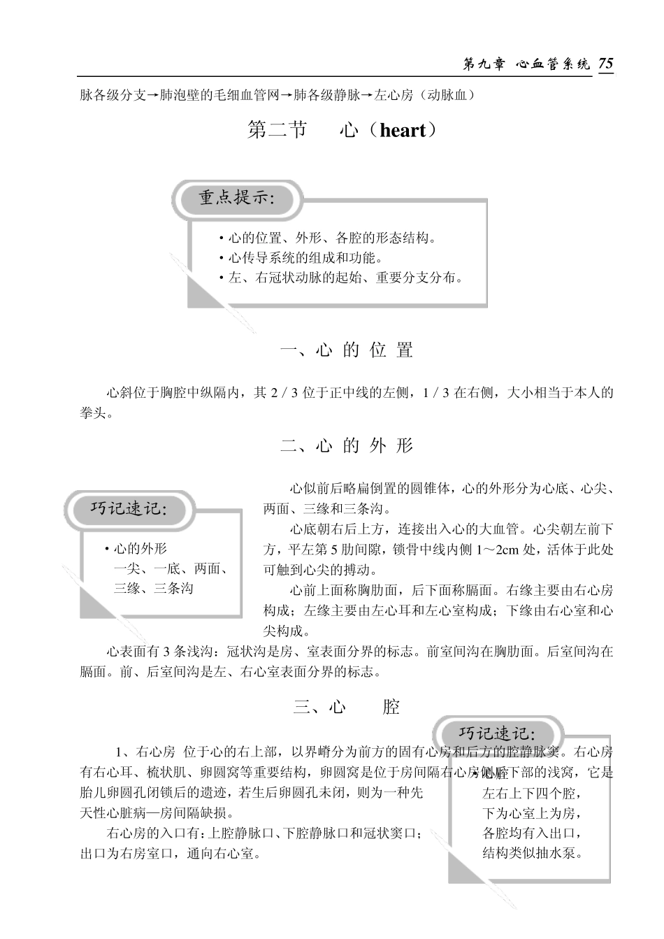 心血管系统重点总结及习题_第2页