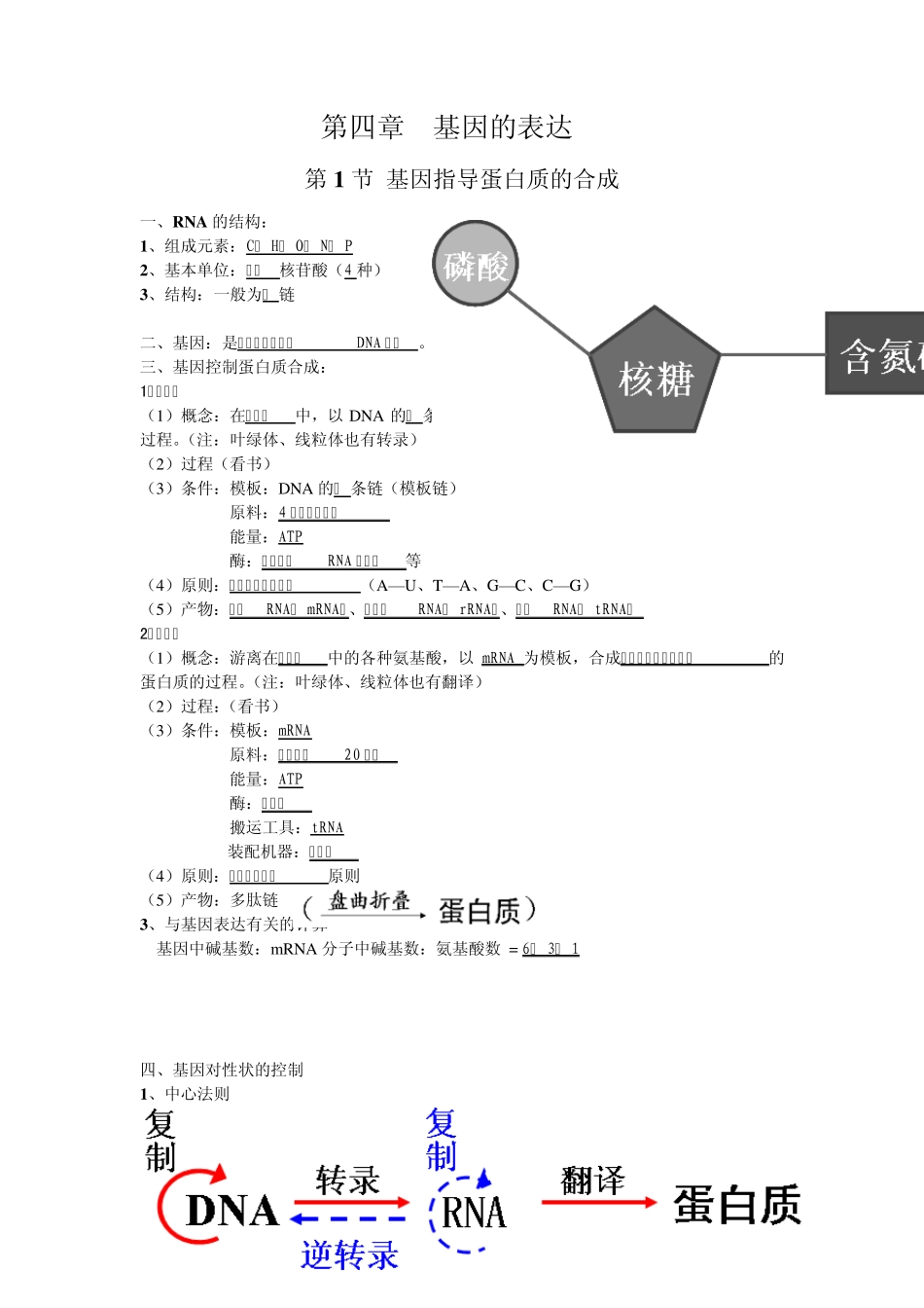 必修2生物第四章基因的表达第五章基因突变及其他变异复习提纲_第1页