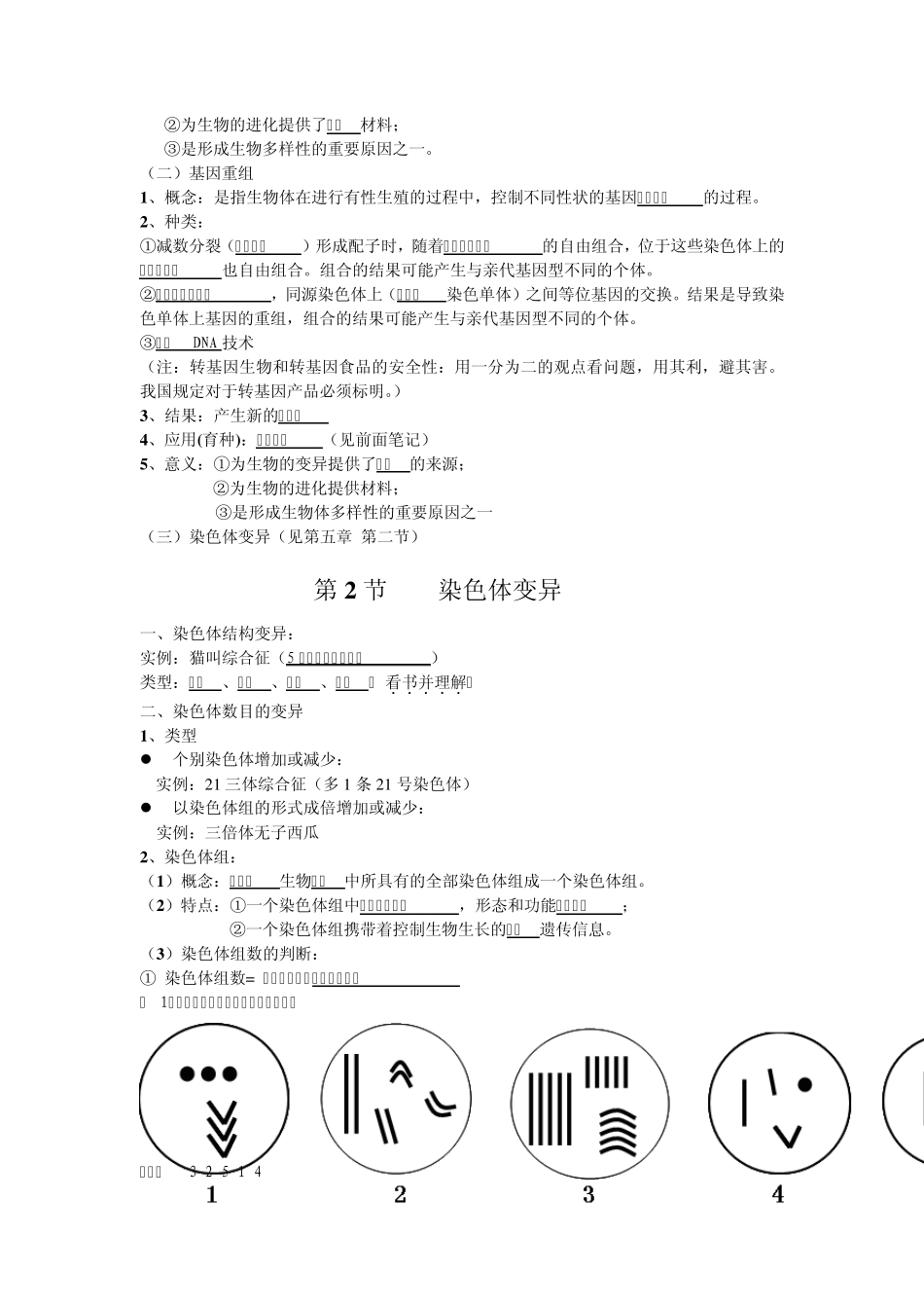 必修2生物第四章基因的表达第五章基因突变及其他变异复习提纲_第3页