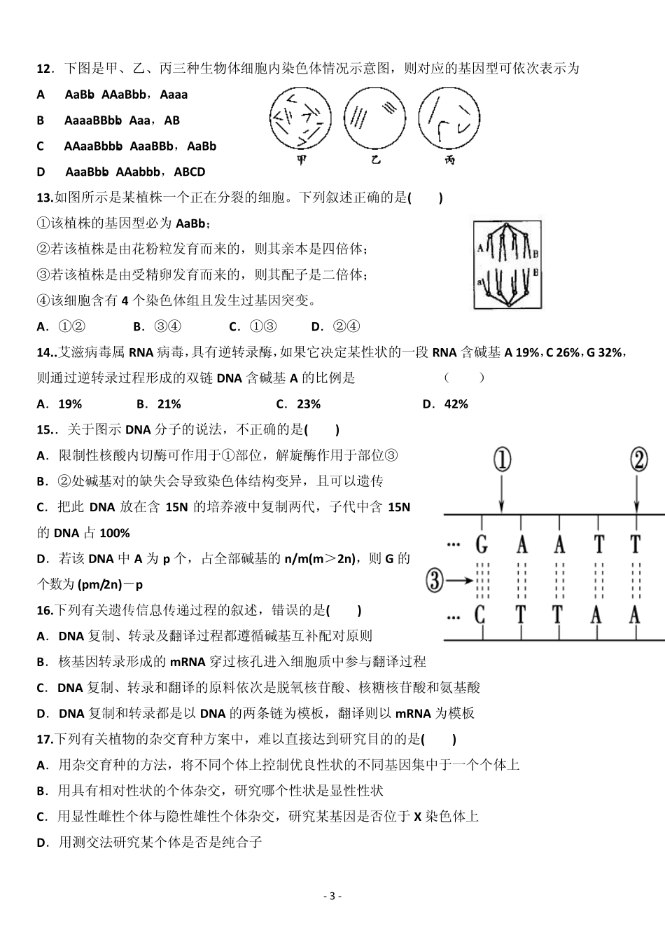 必修二遗传与进化生物试题带答案_第3页