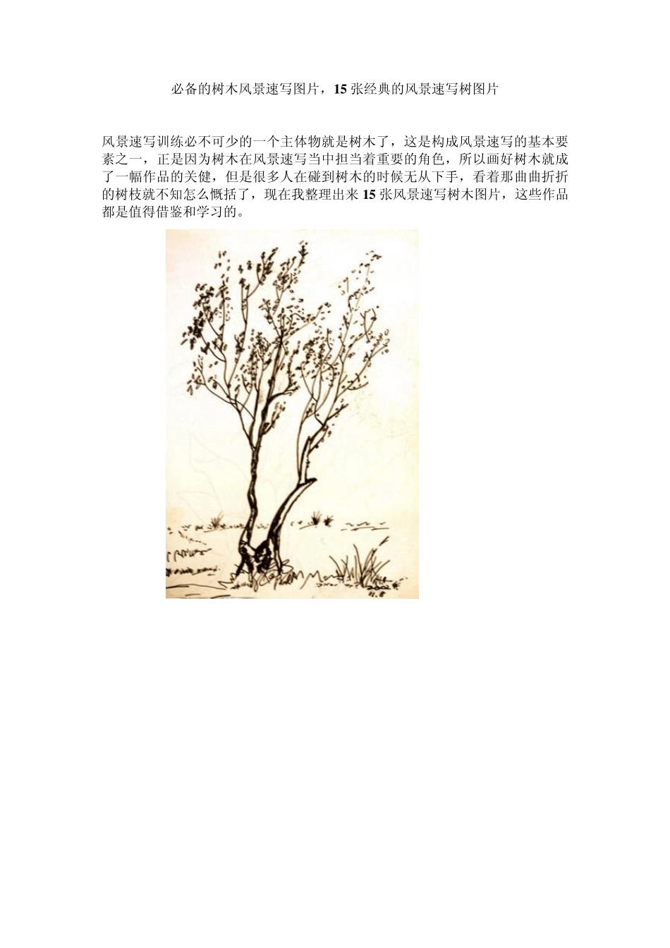 必备的树木风景速写图片,15张经典的风景速写树图片_第1页
