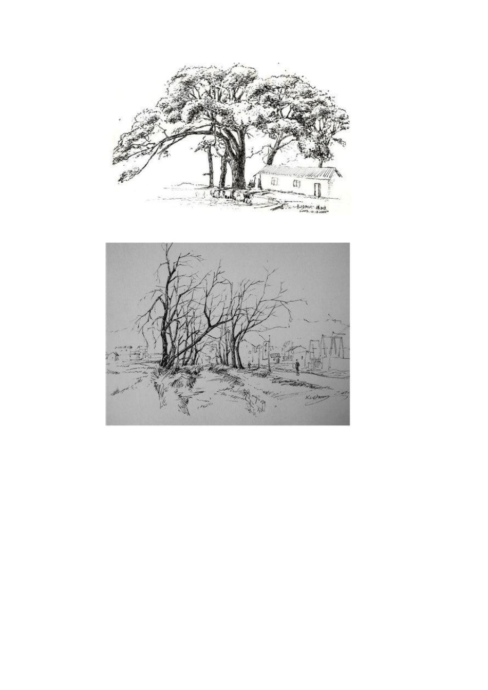 必备的树木风景速写图片,15张经典的风景速写树图片_第2页