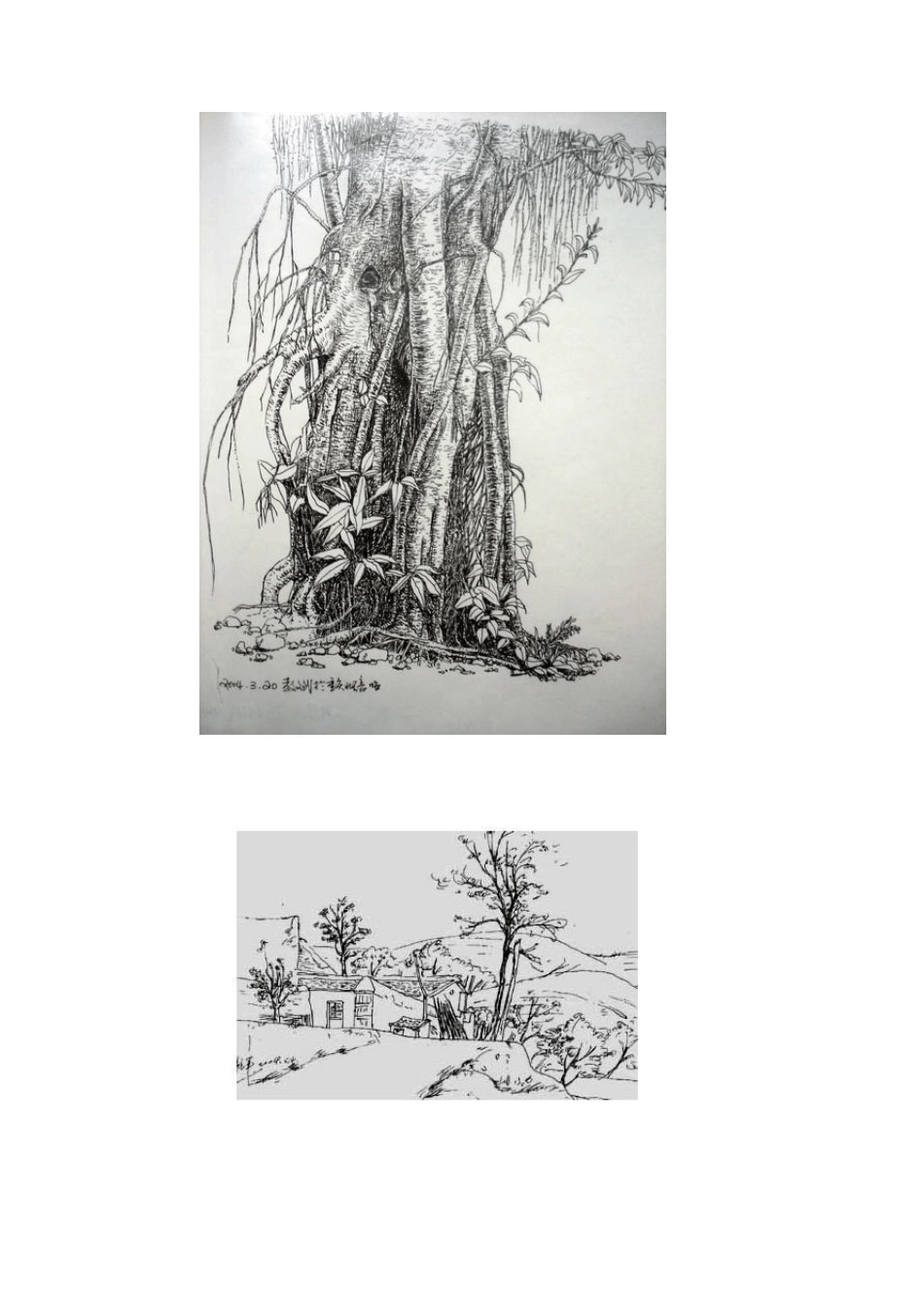 必备的树木风景速写图片,15张经典的风景速写树图片_第3页