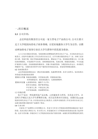 志宏科技电子产品营销策划书(权威版)