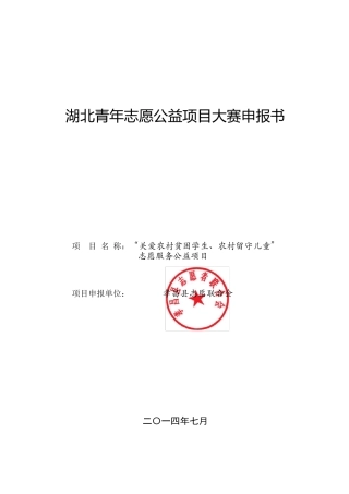 志愿服务队项目申报书