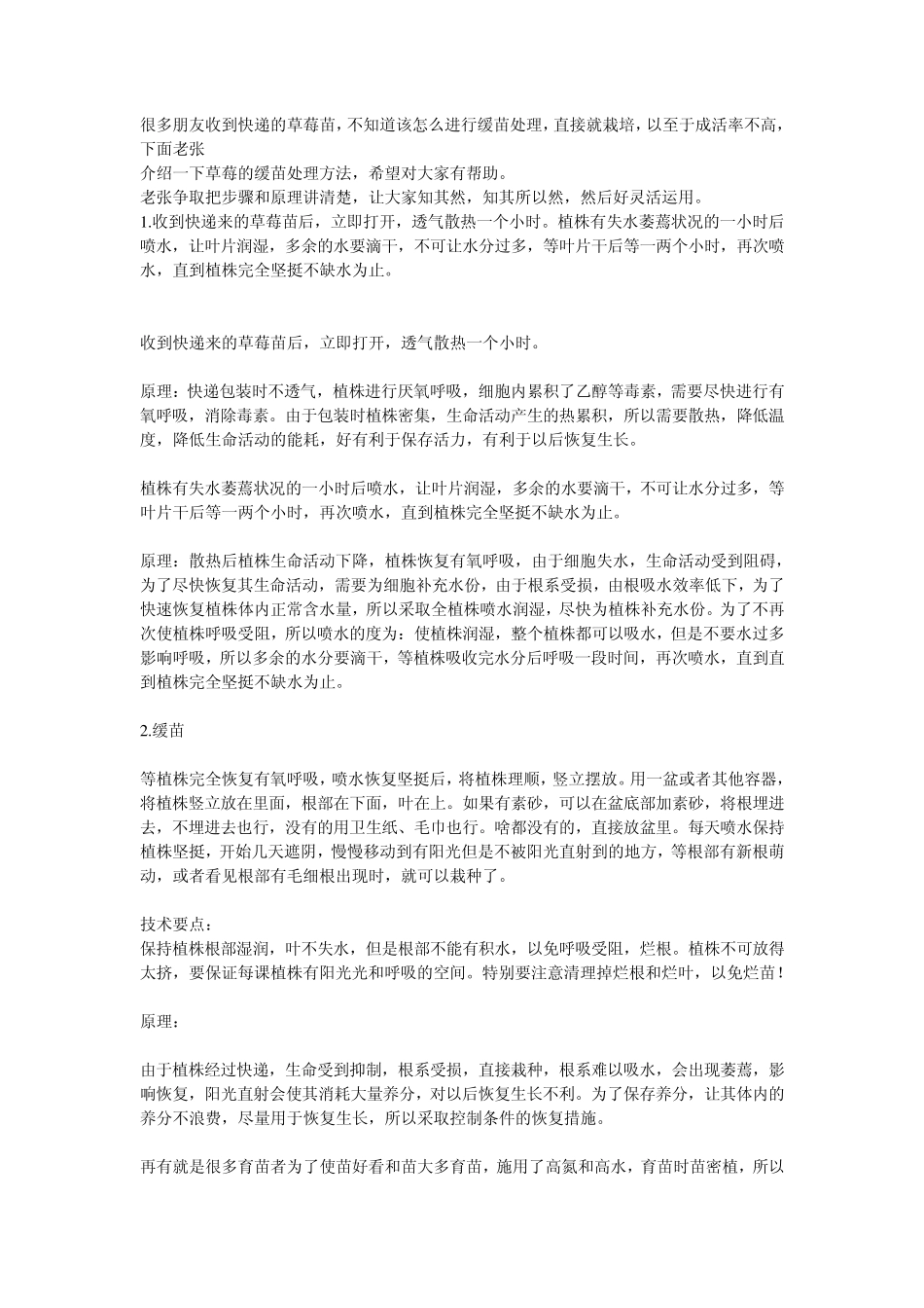 快递草莓苗缓苗处理_第1页