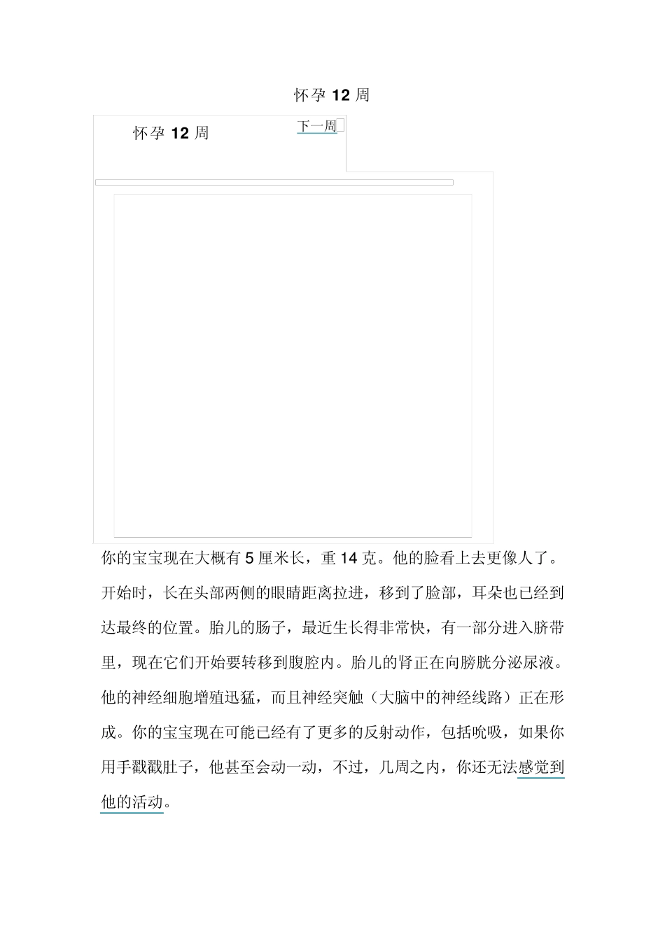 怀孕11周40周的图解_第2页