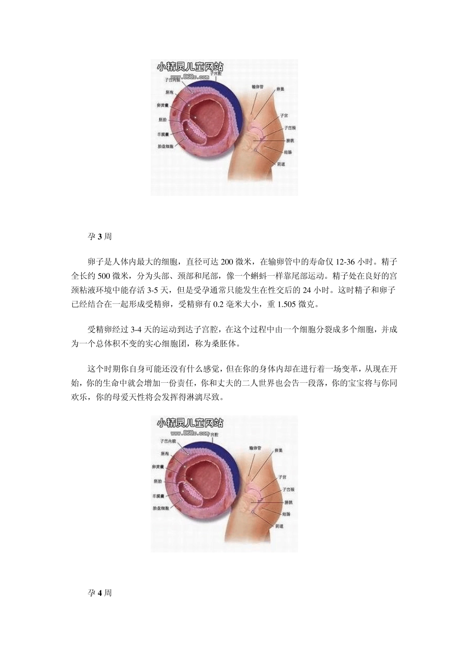 怀孕一个月注意事项_第2页