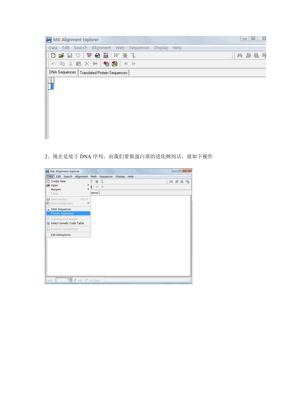 怎样使用MEGA建立进化树_第2页
