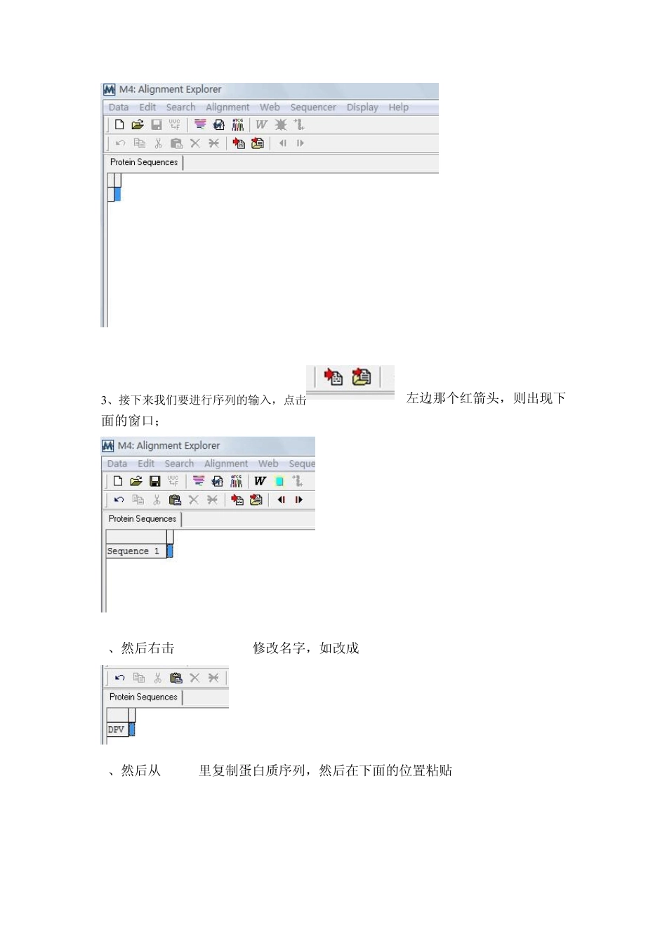 怎样使用MEGA建立进化树_第3页