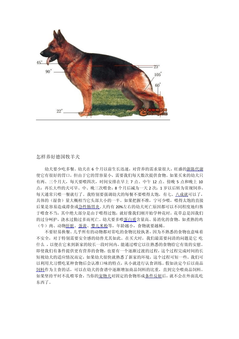 怎样养好德国牧羊犬_第1页