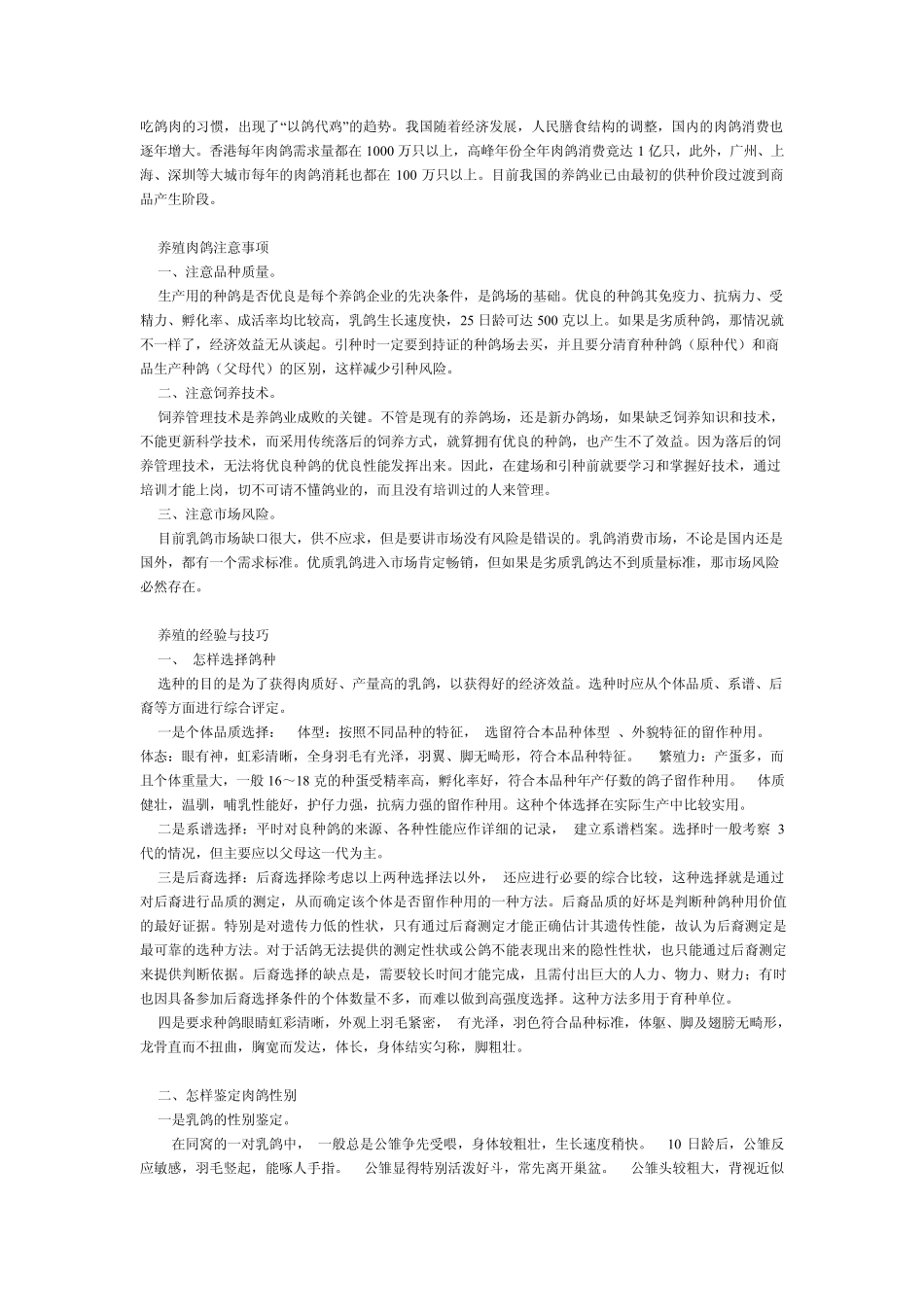 怎样养殖鸽子、鸽子养殖技术及鸽子养殖方法_第3页