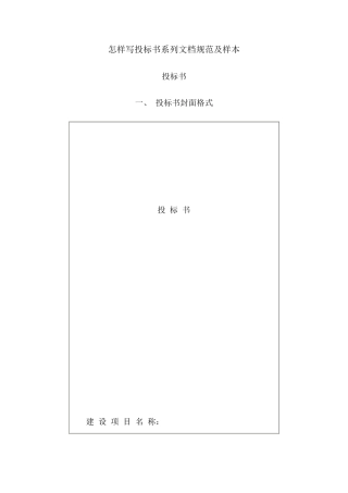 怎样写投标书系列文档规范及样本
