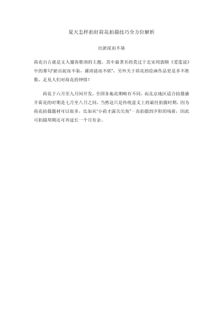 怎样拍好荷花拍摄技巧