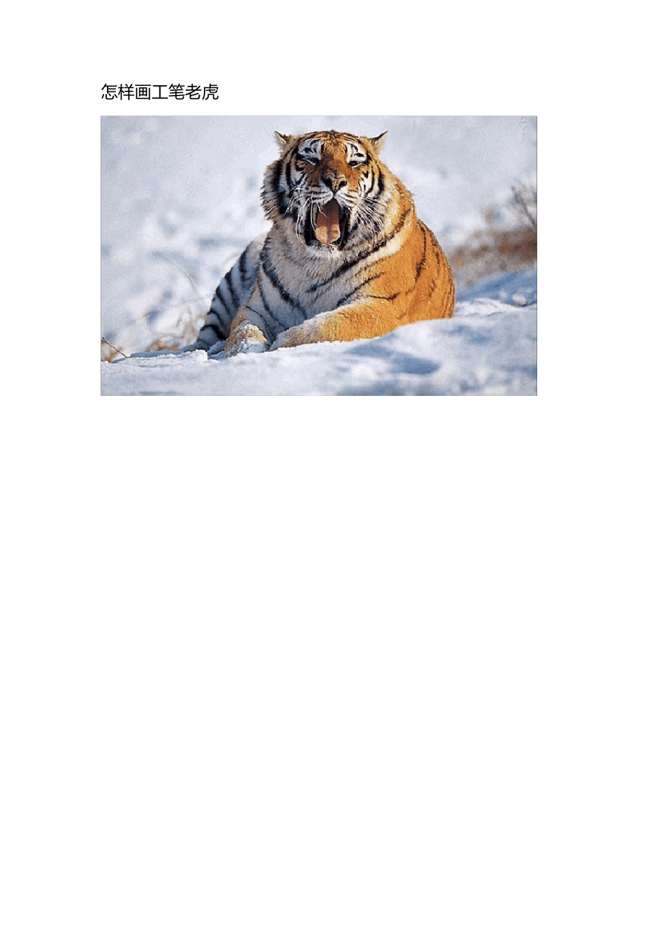 怎样画工笔老虎(图文)_第1页