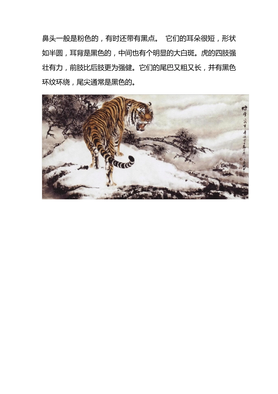 怎样画工笔老虎(图文)_第3页