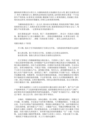 怎样给猫接生(攻略)