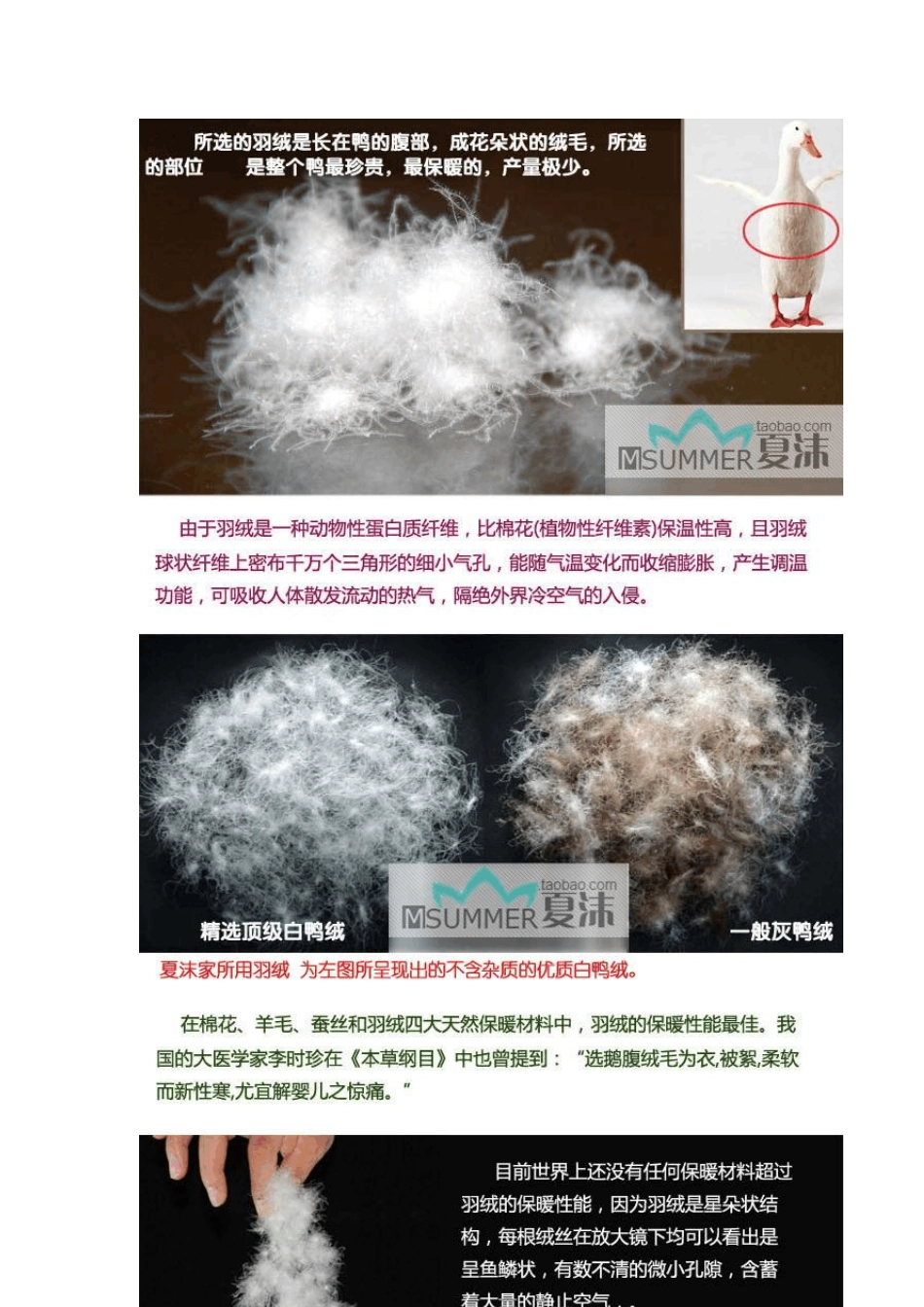 怎样辨别羽绒服的好坏_第3页