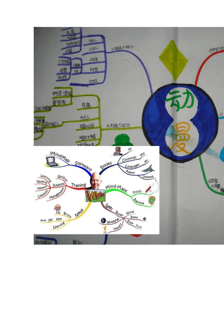思维导图软件应用使用方法思维导图图片大全_第3页