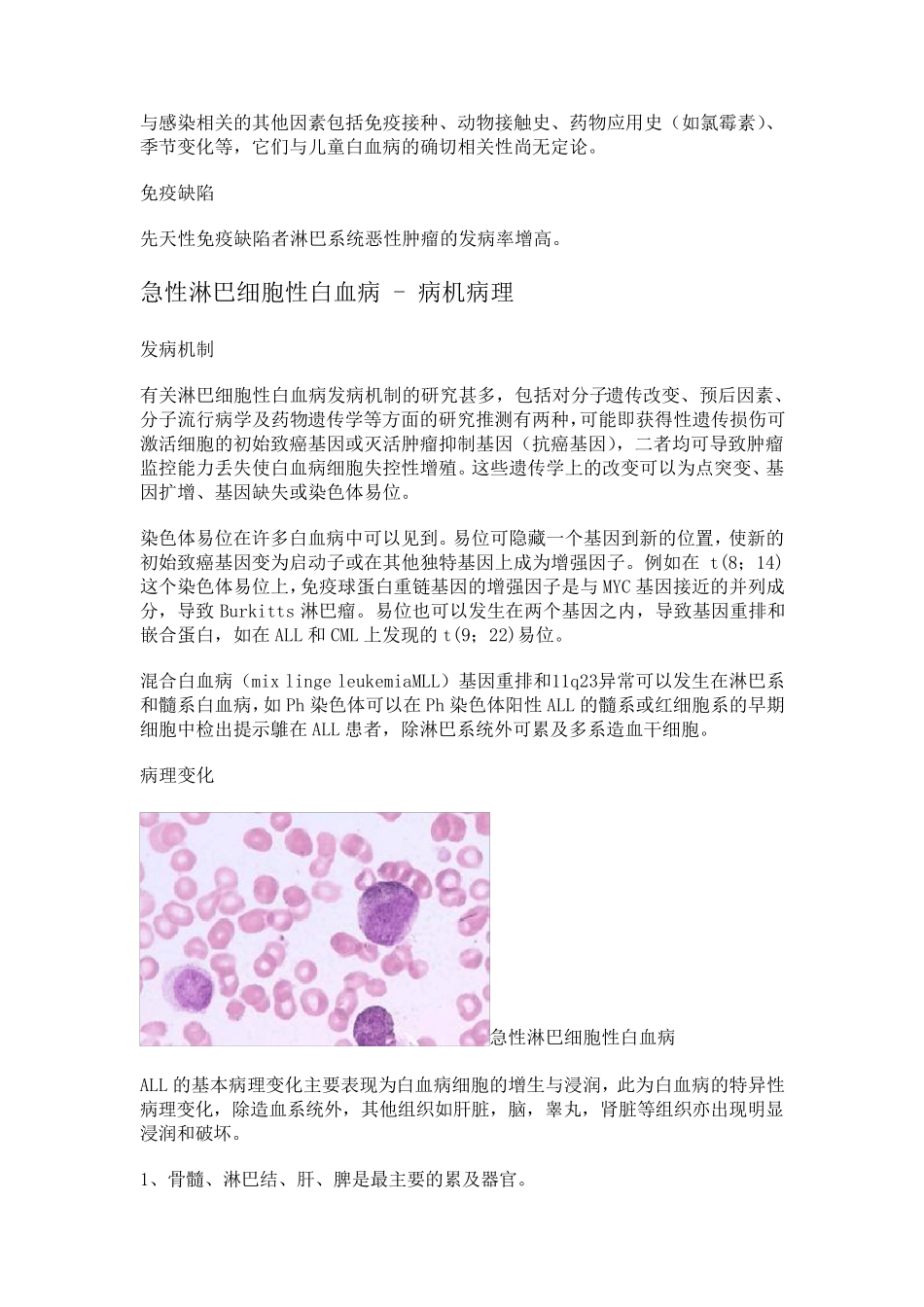 急性淋巴细胞性白血病_第3页