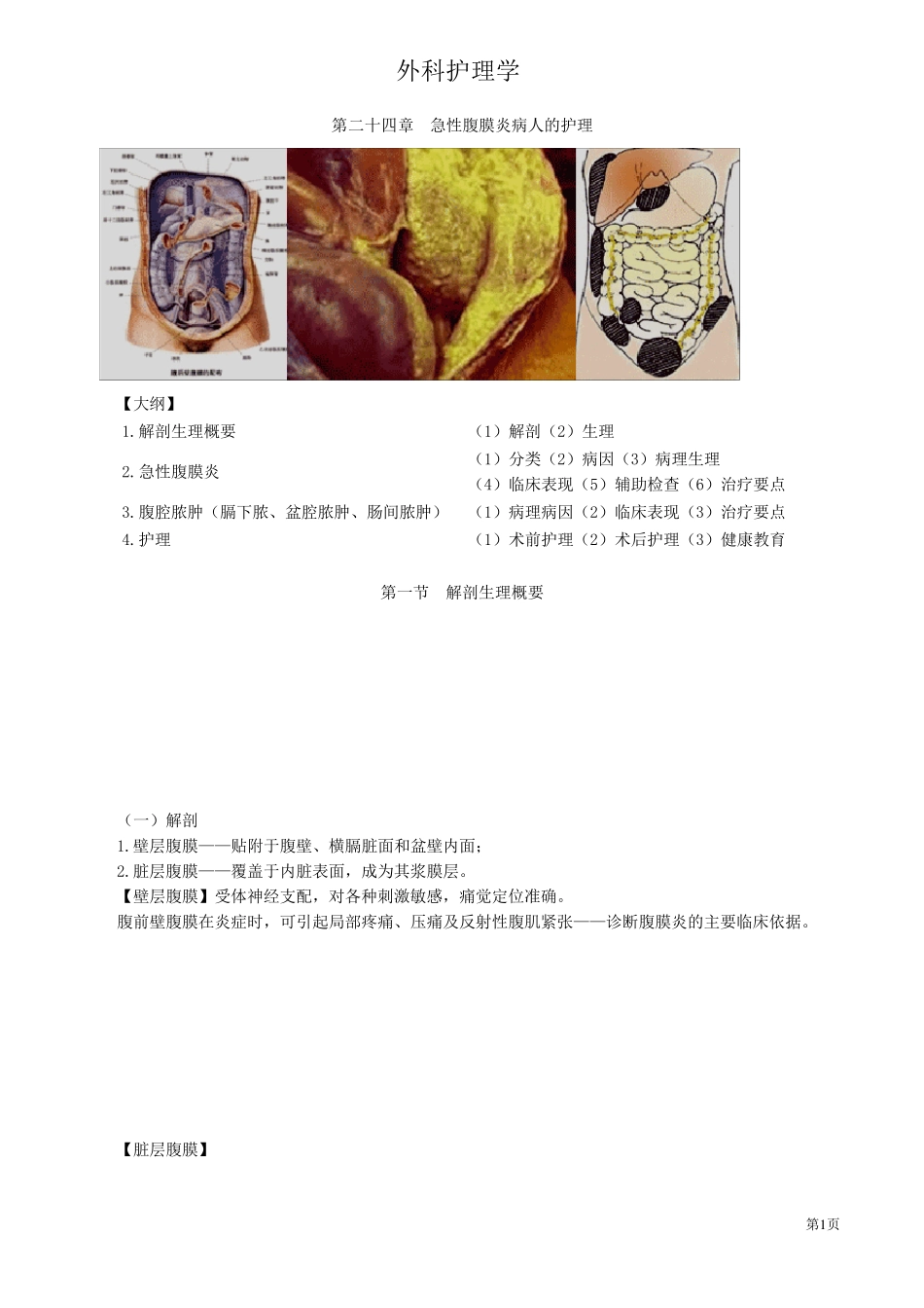 急性腹膜炎病人的护理_第1页