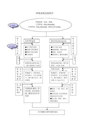 急诊重点病种急救流程