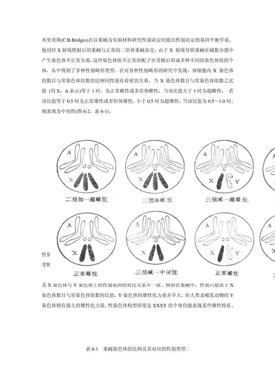 性别决定与性别控制_第3页