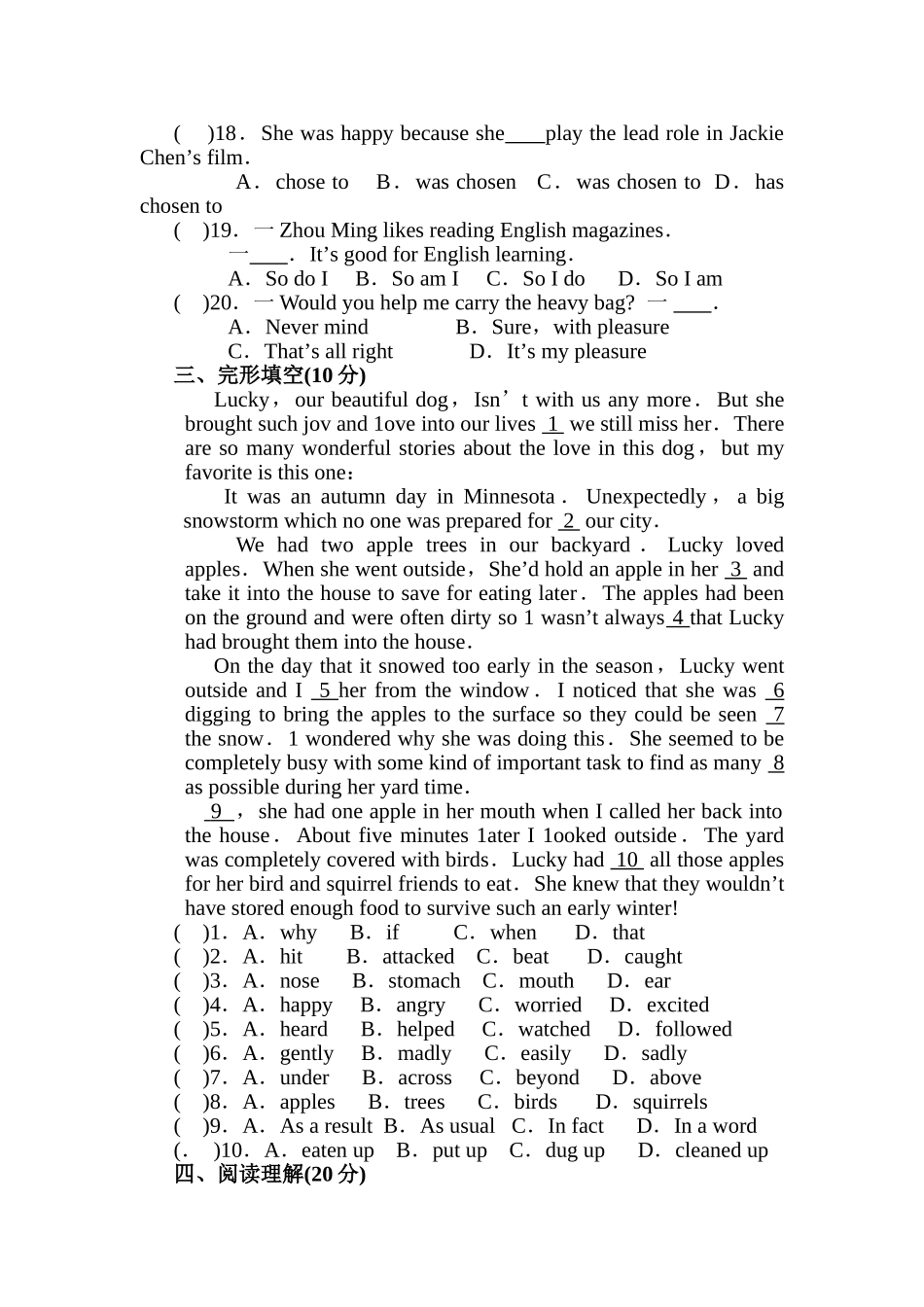 2025年中考英语考点冲刺专题训练_第3页
