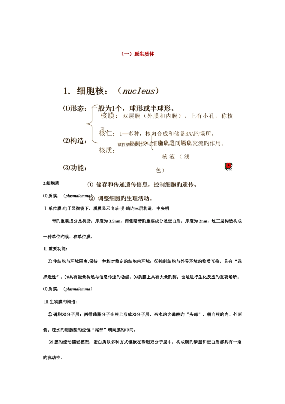 2025年植物学知识点全册_第2页