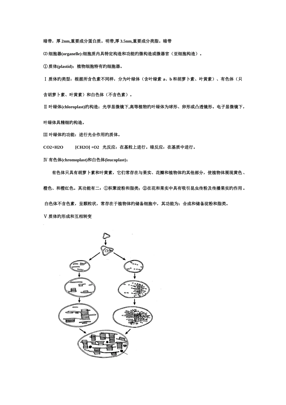 2025年植物学知识点全册_第3页