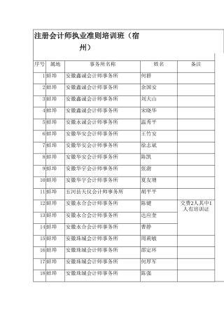 2025年注册会计师执业准则培训班宿州