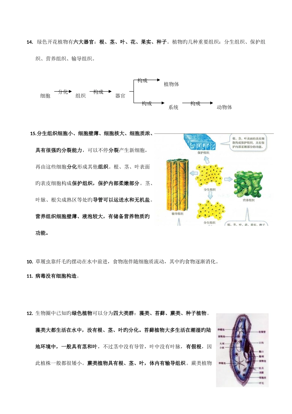 2025年深圳生地会考生物考点总结_第3页