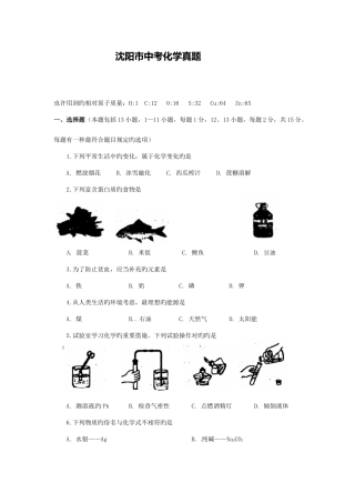 2025年沈阳中考化学真题及答案排版精美