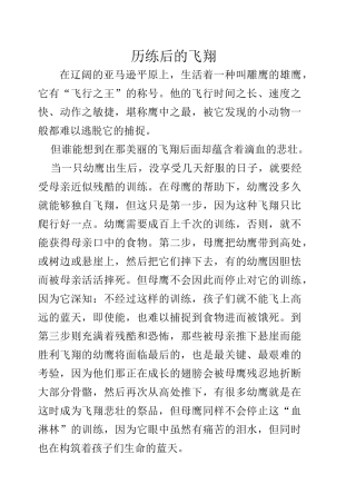 飞翔历练后的飞翔
