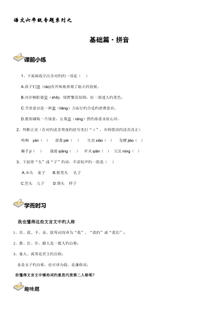 2025年小升初专题复习一课拼音