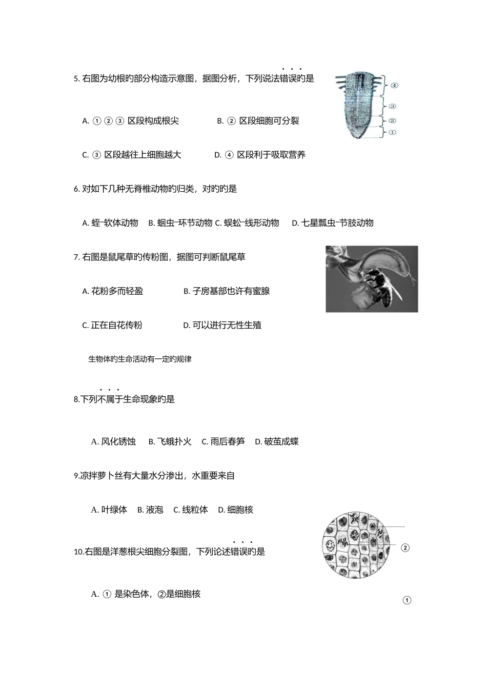 2025年绵阳中考真题和答案_第2页