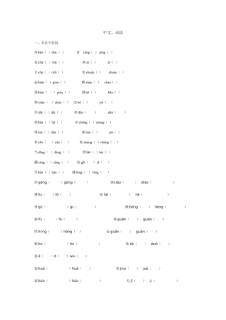 2025年小升初语文汉字词语专项训练