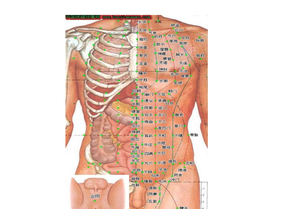 2025年常见疾病与人体具体穴位图实用对照归纳教学内容_第3页