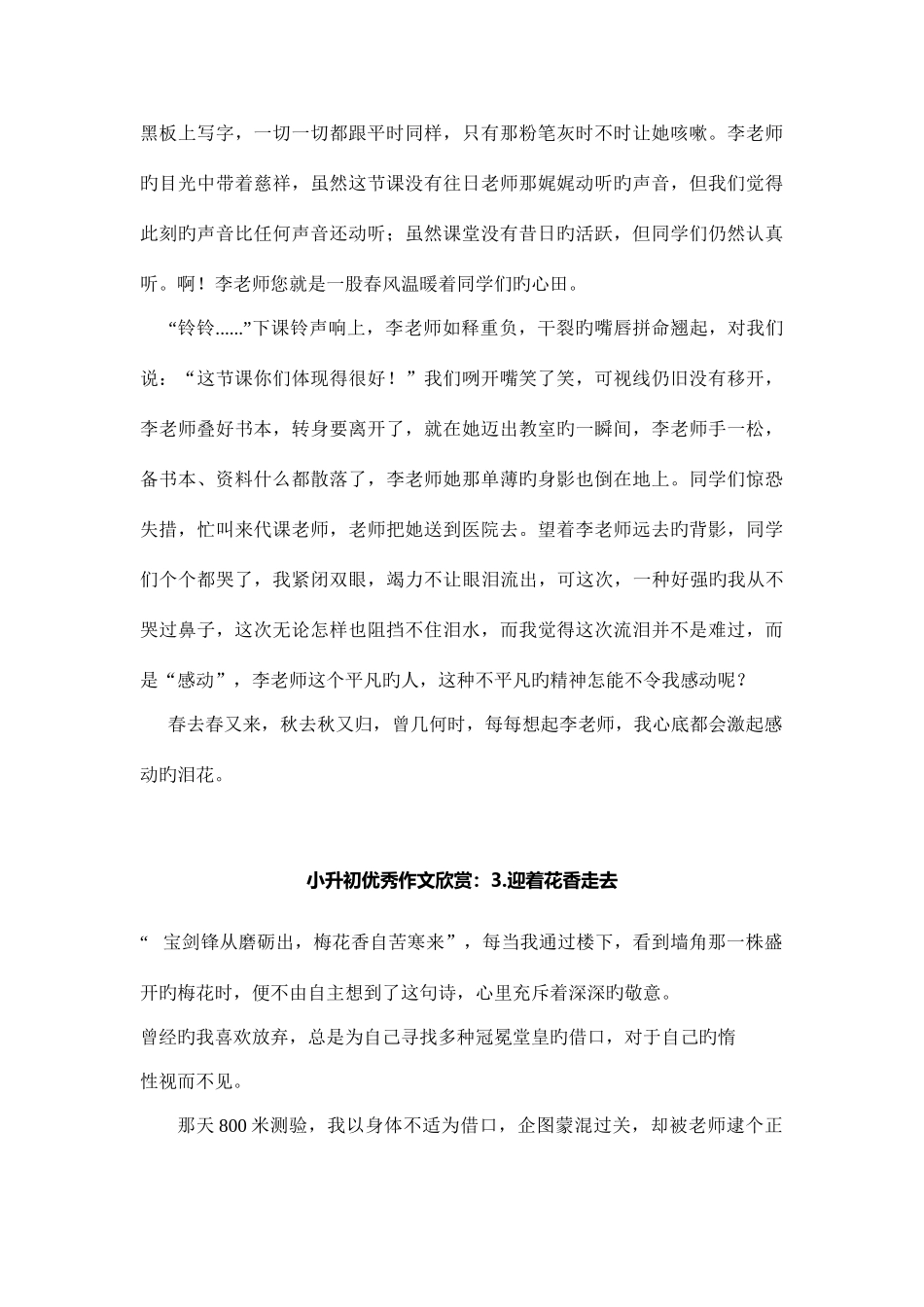 2025年小升初满分作文_第3页