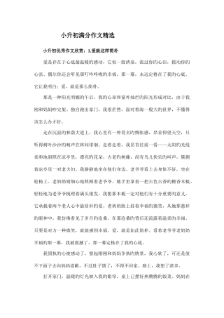 2025年小升初满分作文