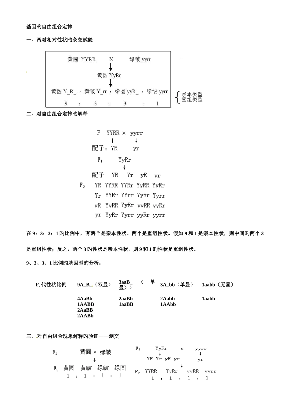 2025年自由组合定律复习知识点习题_第1页