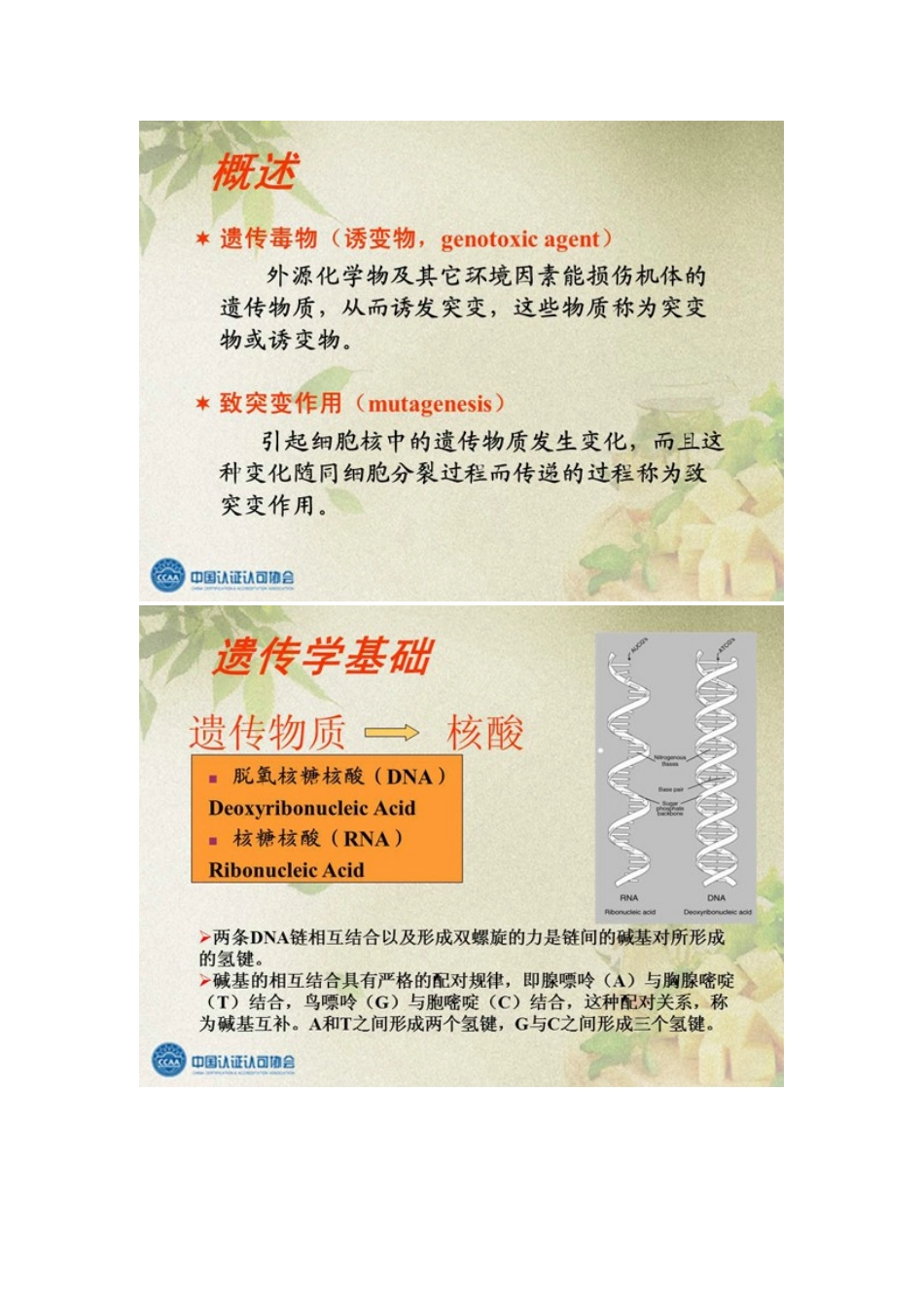 2025年认证人员继续教育选修课程食品毒理学与食品安全评价讲义_第2页
