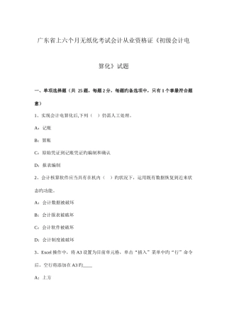 2025年广东省上半年无纸化考试会计从业资格证初级会计电算化试题